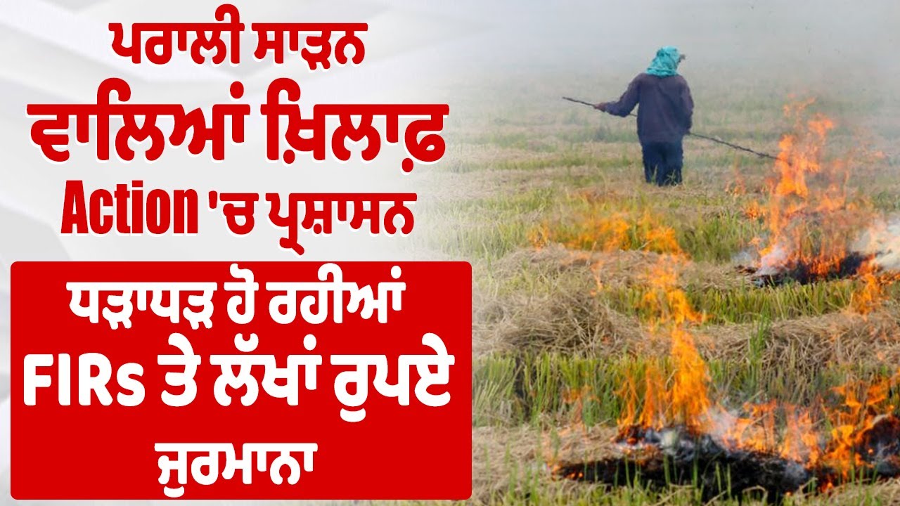 Stubble Burning : ਪਰਾਲੀ ਸਾੜਨ ਵਾਲਿਆਂ ਖ਼ਿਲਾਫ਼ Action ਚ ਪ੍ਰਸ਼ਾਸਨ,ਧੜਾਧੜ ਹੋ ਰਹੀਆਂ FIRs ਤੇ ਲੱਖਾਂ ਰੁਪਏ ਜੁਰਮਾਨਾ