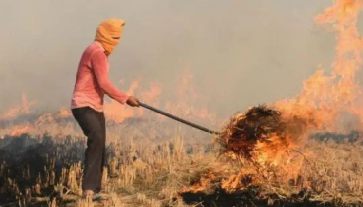 ਪੰਜਾਬ ਵਿੱਚ ਪਰਾਲੀ ਸਾੜਨ ਦਾ ਸਿਲਸਿਲਾ ਜਾਰੀ, ਪ੍ਰਸ਼ਾਸਨ ਨੇ ਕੀਤੀ ਸਖ਼ਤ ਕਾਰਵਾਈ