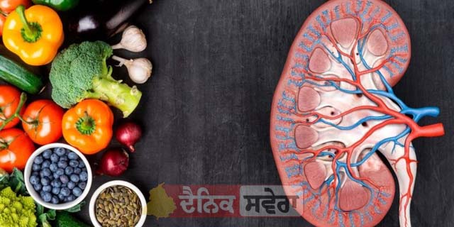 Kidney Damage : ਇਹ Healthy Food ਕਿਡਨੀ ਲਈ ਬਣ ਸਕਦੈ &lsquo;ਜ਼ਹਿਰ&rsquo; ਜਾਣੋ ਕਿਵੇਂ ਫਾਇਦੇ ਦੀ ਥਾਂ ਹੁੰਦਾ ਨੁਕਸਾਨ