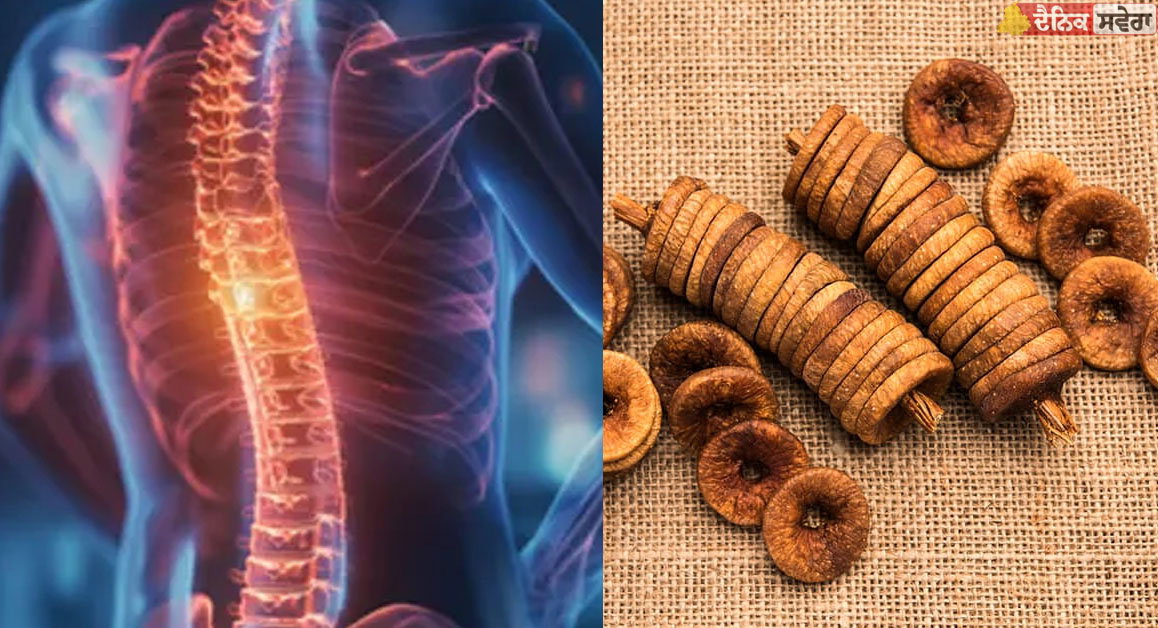 Bone Health : ਕਮਜ਼ੋਰ ਹੱਡੀਆਂ ਬਣਨਗੀਆਂ ਮਜ਼ਬੂਤ, ਘਰ ‘ਚ ਆਸਾਨੀ ਨਾਲ ਮਿਲਣ ਵਾਲੀ ਖਾਓ ਇਹ ਹੈਲਦੀ ਚੀਜ਼