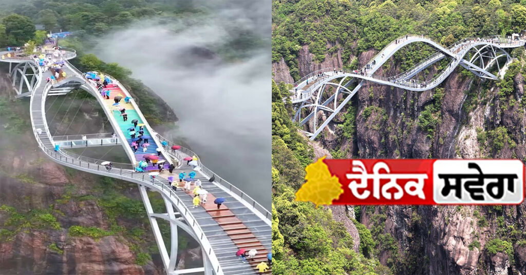 cotton-bridge-rainbow-like-experience