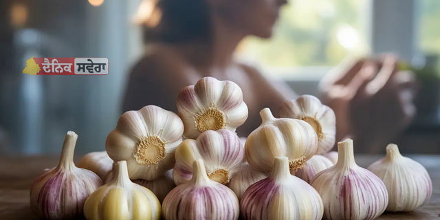 Garlic Benefits : ਖਾਣੇ ਦਾ ਸੁਆਦ ਵਧਾਉਣ ਦੇ ਨਾਲ-ਨਾਲ ਬਲੱਡ ਸ਼ੂਗਰ ਨੂੰ ਕੰਟਰੋਲ ਕਰਨ &lsquo;ਚ ਮਦਦਗਾਰ ਹੁੰਦੈ ਲਸਣ