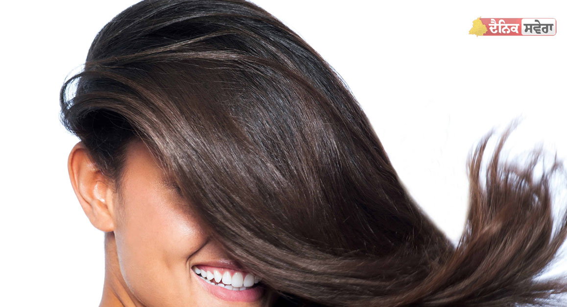 Reduce Hair Fall Tips : ਇਸ ਤਰ੍ਹਾਂ ਕਰੋਗੇ ਦੇਖਭਾਲ ਤਾਂ ਇਕ ਵੀ ਨਹੀਂ ਝੜੇਗਾ ਵਾਲ, ਜਾਣੋ ਇਹ ਆਸਾਨ ਤਰੀਕੇ
