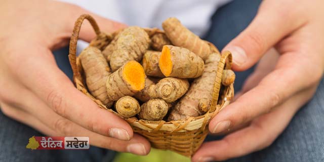 Raw Turmeric For Stomach Health : ਪੇਟ ਦੀ ਹਰ ਸਮੱਸਿਆ ਦਾ ਹੱਲ ਕੱਚੀ ਹਲਦੀ, ਇਹ ਲੋਕ ਨਾ ਕਰਨ ਸੇਵਨ