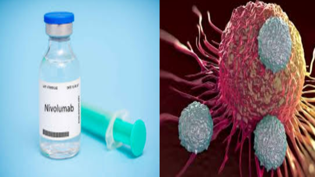 Big relief for cancer patients, High Court approves low-cost drug 'Nivolumab'