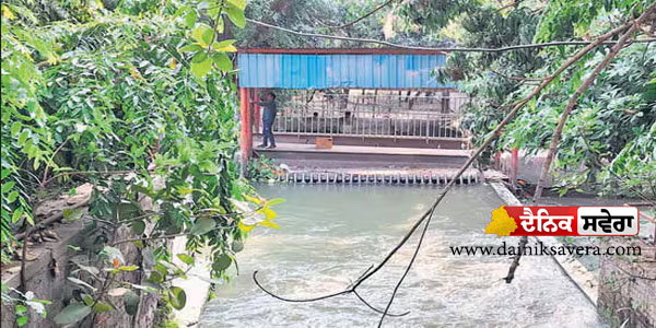 haiderpur-water-plant-five-unidentified-bodies-recovered-delhi-haryana