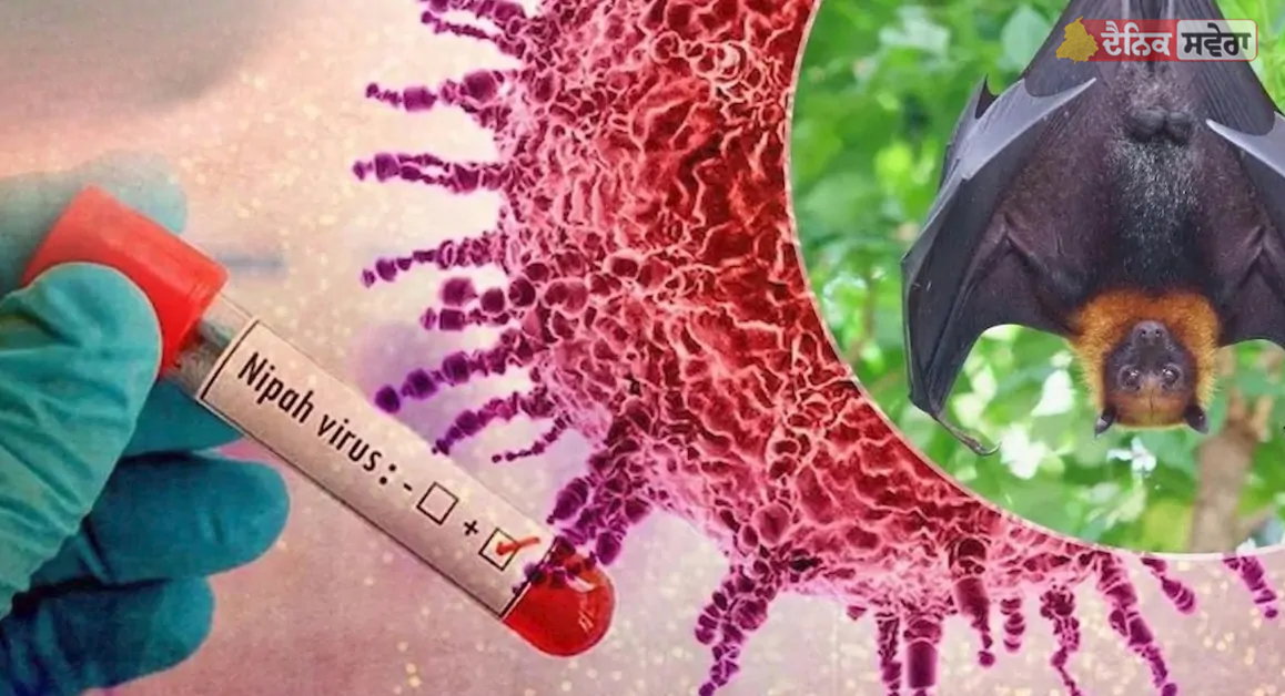 Nipah Virus Outbreak : ਪੱਛਮੀ ਬੰਗਾਲ &lsquo;ਚ ਨਿਪਾਹ ਵਾਇਰਸ ਦਾ ਪ੍ਰਕੋਪ : ਏਅਰਪੋਰਟਸ &lsquo;ਤੇ ਵਧਾਈ ਸੁਰੱਖਿਆ ਜਾਂਚ