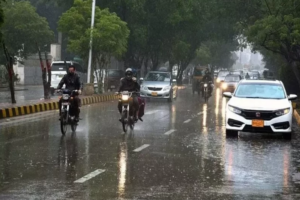 Weather change in Punjab: Fog and drop in temperature, light to moderate rain likely on February 10