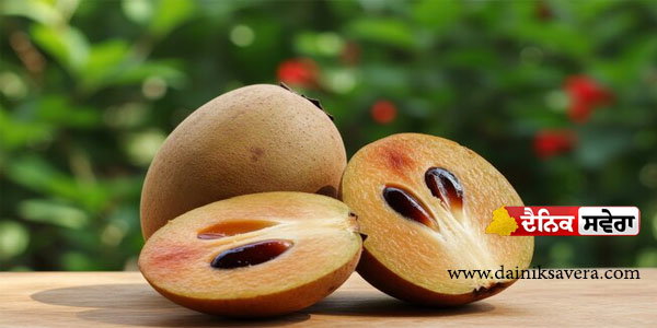 chikoo-seeds-kidney-stone