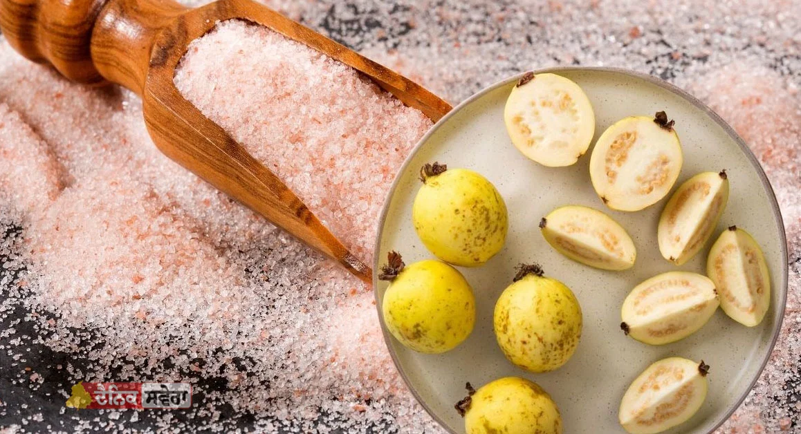 Guava With Salt Benefits : ਅਮਰੂਦ ਨੂੰ ਨਮਕ ਲਗਾ ਕੇ ਖਾਣ ਨਾਲ ਕੀ ਹੁੰਦਾ ? ਫਾਇਦੇ ਜਾਣ ਕੇ ਰਹਿ ਜਾਓਗੇ ਹੈਰਾਨ