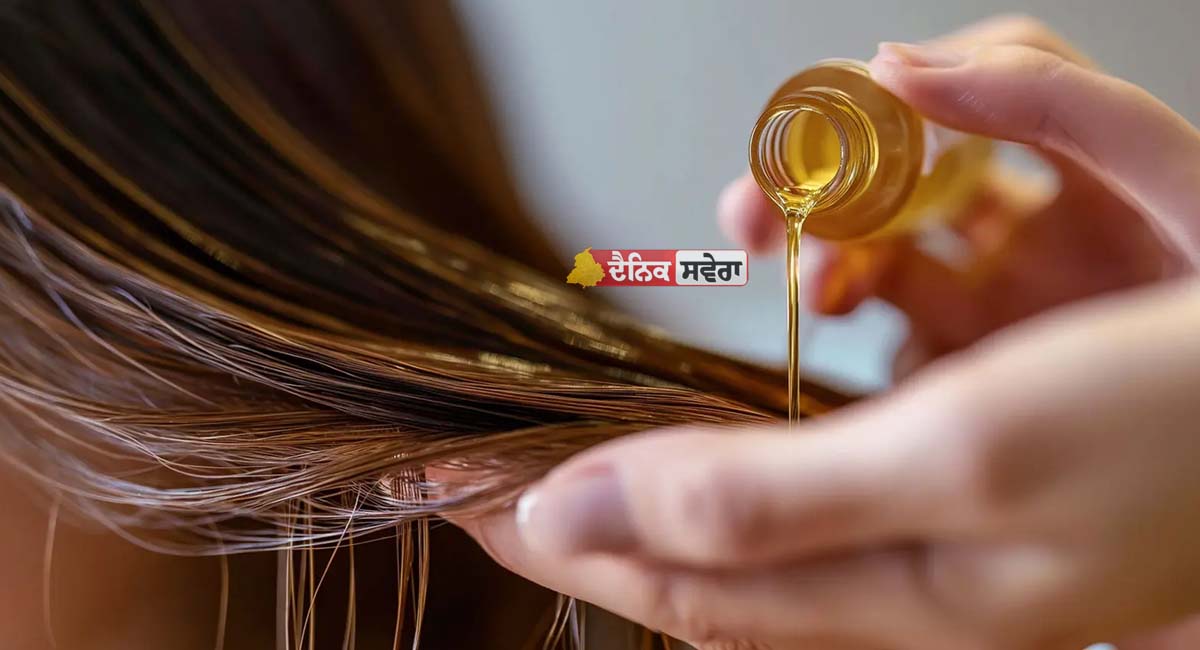 Hair Oiling Tips : ਹਫ਼ਤੇ ‘ਚ ਤੁਹਾਨੂੰ ਕਿੰਨੀ ਵਾਰ ਆਪਣੇ ਵਾਲਾਂ ‘ਤੇ ਲਗਾਉਣਾ ਚਾਹੀਦਾ ਤੇਲ ? ਜਾਣੋ ਕਿੰਨਾ ਗੱਲਾਂ ਦਾ ਰੱਖਣਾ ਹੁੰਦਾ ਧਿਆਨ