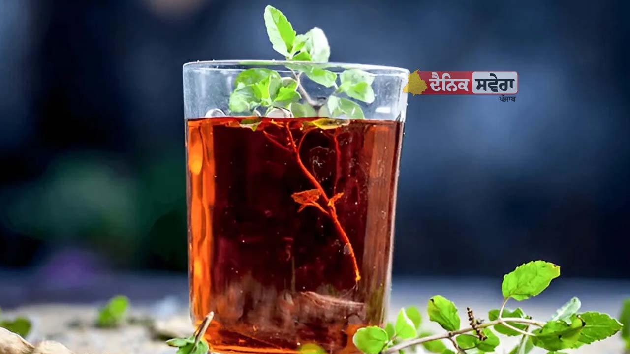 Healthy Beauty Tips : ਸਿਹਤ ਤੇ ਸੁੰਦਰਤਾ ਦੋਵਾਂ ਲਈ ਲਾਭਦਾਇਕ ਹੁੰਦੈ ਤੁਲਸੀ-ਅਦਰਕ ਦਾ ਕਾੜ੍ਹਾ, ਆਓ ਜਾਣੀਏ ਇਸਦੇ ਫਾਇਦੇ
