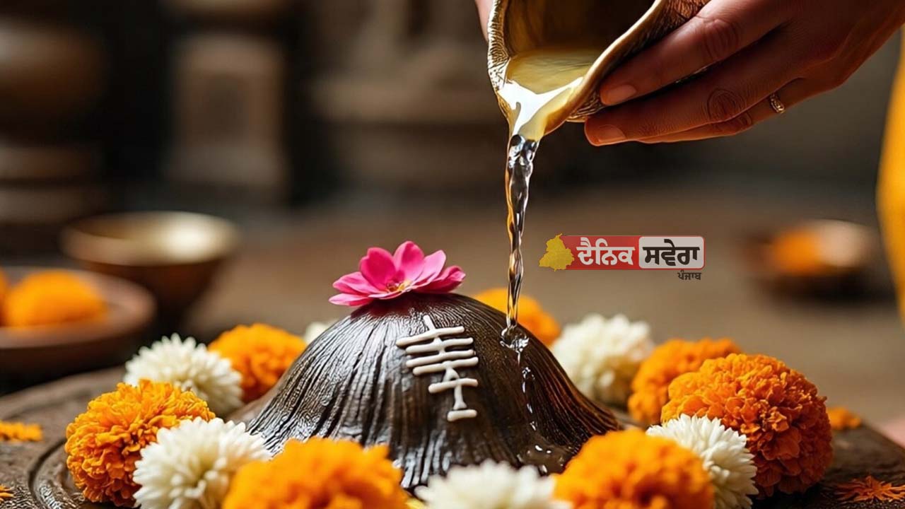 Mahashivratri 2026 : ਆਪਣੀ ਰਾਸ਼ੀ ਦੇ ਅਨੁਸਾਰ ਇਨ੍ਹਾਂ ਚੀਜ਼ਾਂ ਨਾਲ ਕਰੋ ਭਗਵਾਨ ਸ਼ਿਵ ਦਾ ਅਭਿਸ਼ੇਕ, ਸਮੱਸਿਆਵਾਂ ਹੋਣਗੀਆਂ ਦੂਰ