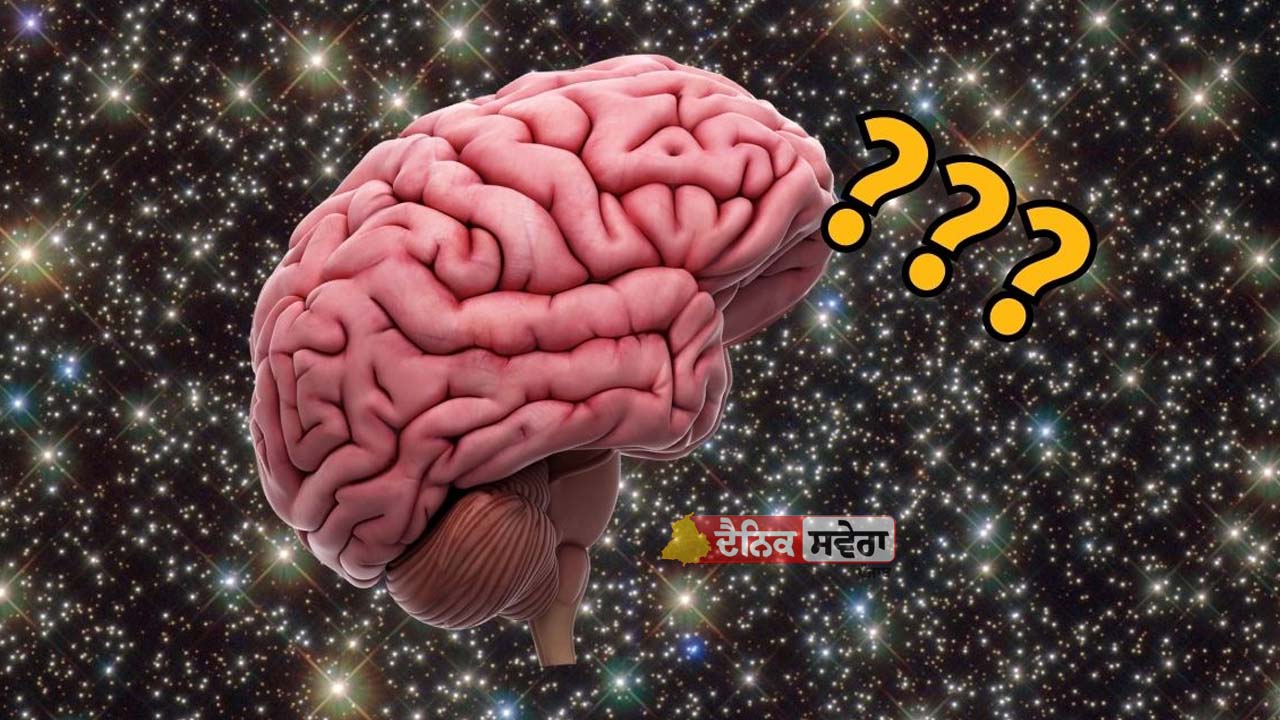 Skull Study : ਪੁਲਾੜ ‘ਚ ਰਹਿਣ ਨਾਲ ਬਦਲ ਜਾਂਦੀ ਖੋਪੜੀ ਦੇ ਅੰਦਰ ਦਿਮਾਗ ਦੀ ਸਥਿਤੀ : ਅਧਿਐਨ