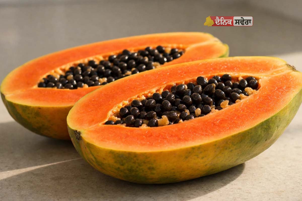 Eat Papaya on an Empty Stomach : ਖਾਲੀ ਪੇਟ ਪਪੀਤਾ ਖਾਣ ਨਾਲ ਕੀ ਹੁੰਦਾ ? ਜਾਣੋ ਇਸਦੇ ਫਾਇਦੇ ਤੇ ਨੁਕਸਾਨ