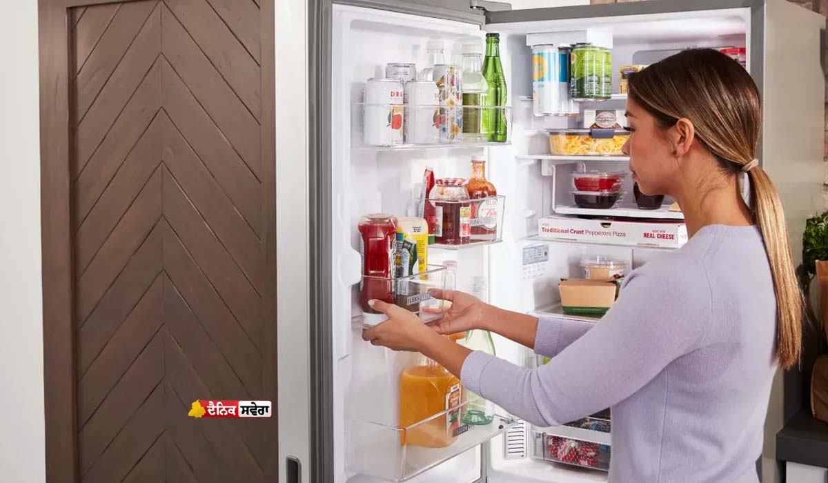 Cleaning Tips : ਫਰਿੱਜ ਸਾਫ਼ ਕਰਦੇ ਸਮੇਂ ਭੁੱਲ ਕੇ ਵੀ ਨਾ ਕਰੋ ਇਹ ਗਲਤੀ ; ਨਹੀਂ ਤਾਂ ਲੱਗੇਗਾ 440 ਵੋਲਟ ਦਾ ਤਕੜਾ ਕਰੰਟ