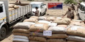 major-drug-crackdown-poppy