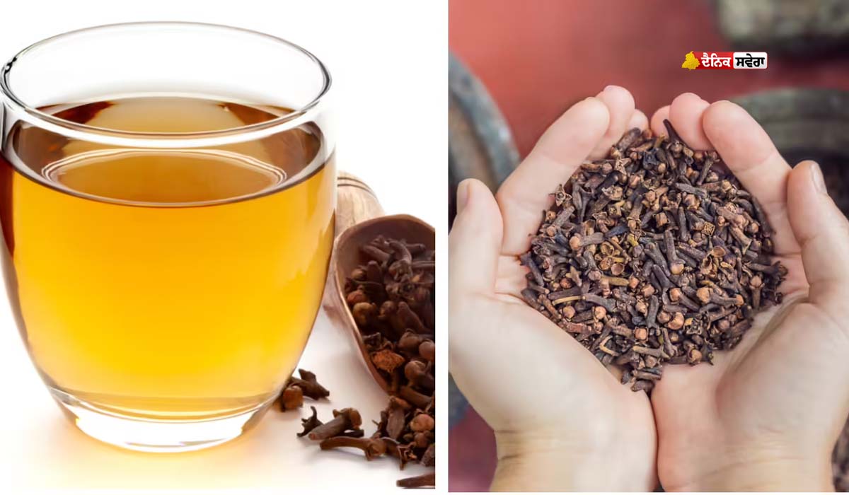 HEALTH NEWS : ਸਿਰਫ਼ 14 ਦਿਨਾਂ ਤਕ ਪੀਓ ਲੌਂਗ ਦਾ ਪਾਣੀ ; ਇਨ੍ਹਾਂ ਬਿਮਾਰੀਆਂ ਤੋਂ ਮਿਲੇਗਾ ਹਮੇਸ਼ਾ ਲਈ ਛੁਟਕਾਰਾ