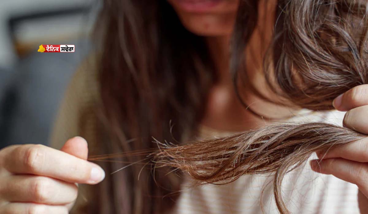 Hair Care : ਤੇਜ਼ੀ ਨਾਲ ਝੜਦੇ ਵਾਲਾਂ ਤੋਂ ਹੋ ਪਰੇਸ਼ਾਨ ; ਪੌਸ਼ਟਿਕ ਤੱਤਾਂ ਦੀ ਘਾਟ ਵਾਲਾਂ ਦੀਆਂ ਜੜ੍ਹਾਂ ਕਰ ਰਹੀ ਵੀਕ, ਜਾਣੋ ਉਪਾਅ