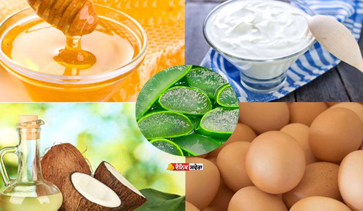 Beauty Tips : ਘਰ &lsquo;ਚ ਹੇਅਰ ਕੇਰਾਟਿਨ ਟ੍ਰੀਟਮੈਂਟ ! ਘੱਟ ਪੈਸਿਆਂ &lsquo;ਚ ਮਿਲਣਗੇ ਪਾਰਲਰ ਜਿਹੇ ਸ਼ਾਇਨੀ ਤੇ ਸਟ੍ਰੇਟ ਵਾਲ