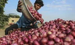 Onion Price Hike Warning: Onion prices are making people cry, prices cross ₹60/kg