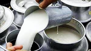 Big decision for dairy farmers in Punjab: Increase in milk procurement price