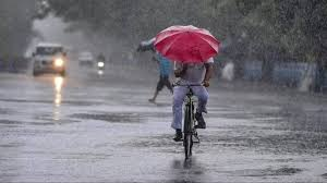 Weather mood changes: Heavy rain, hailstorm wreak havoc in 5 districts