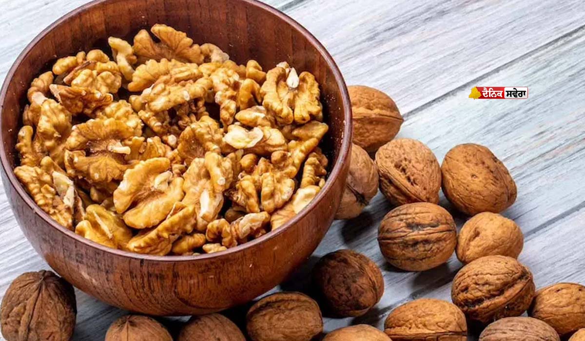 Walnuts ਨੂੰ ਭਿਓਂ ਕੇ ਖਾਣਾ ਚਾਹੀਦੈ ਜਾਂ ਬਿਨਾਂ ਭਿਓਂਏ ; ਕੀ ਹੈ ਅਖਰੋਟ ਨੂੰ ਖਾਣ ਦਾ ਸਹੀ ਤਰੀਕਾ ਤੇ ਕਿਵੇਂ ਮਿਲੇਗਾ ਵੱਧ ਲਾਭ