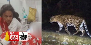 mother-saves-daughter-from-leopard-night-attack