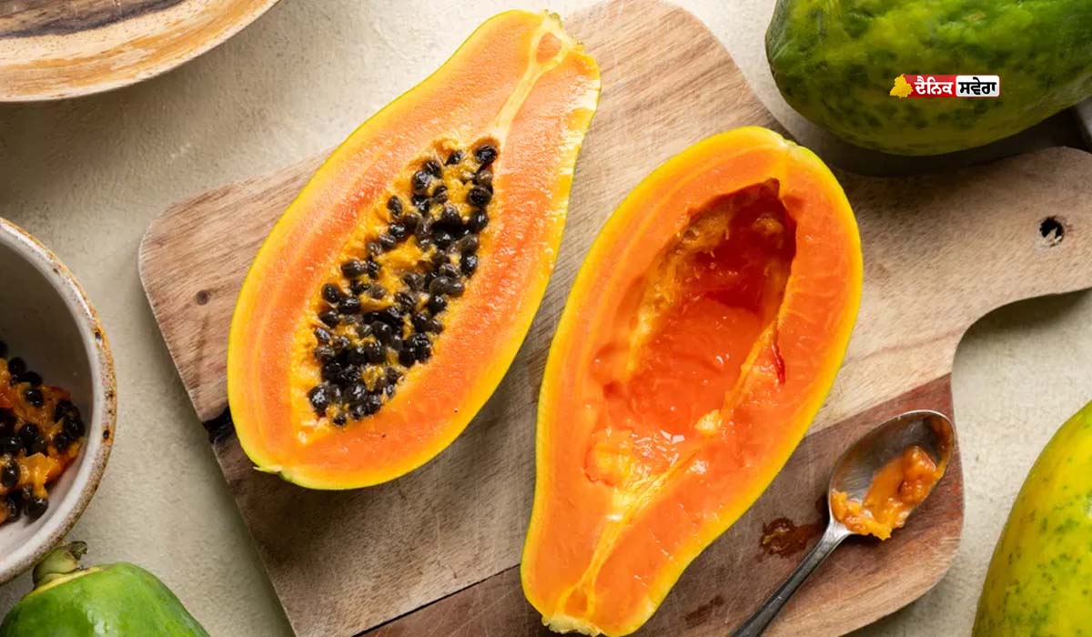 PAPAYA : ਪੌਸ਼ਟਿਕ ਤੱਤਾਂ ਨਾਲ ਭਰਪੂਰ ਪਪੀਤਾ ਹੱਡੀਆਂ ਨੂੰ ਮਜ਼ਬੂਤ ਕਰਨ ਦੇ ਨਾਲ-ਨਾਲ ਵਾਲਾਂ ਨੂੰ ਬਣਾਉਂਦਾ ਖ਼ੂਬਸੂਰਤ