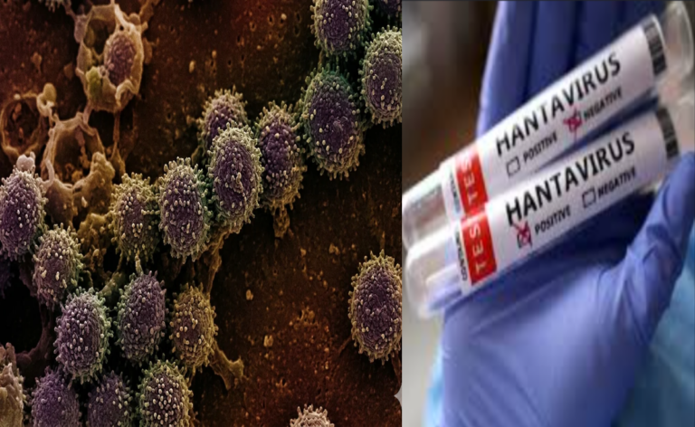WHO's big update on Hantavirus, Andes virus raises concerns worldwide
