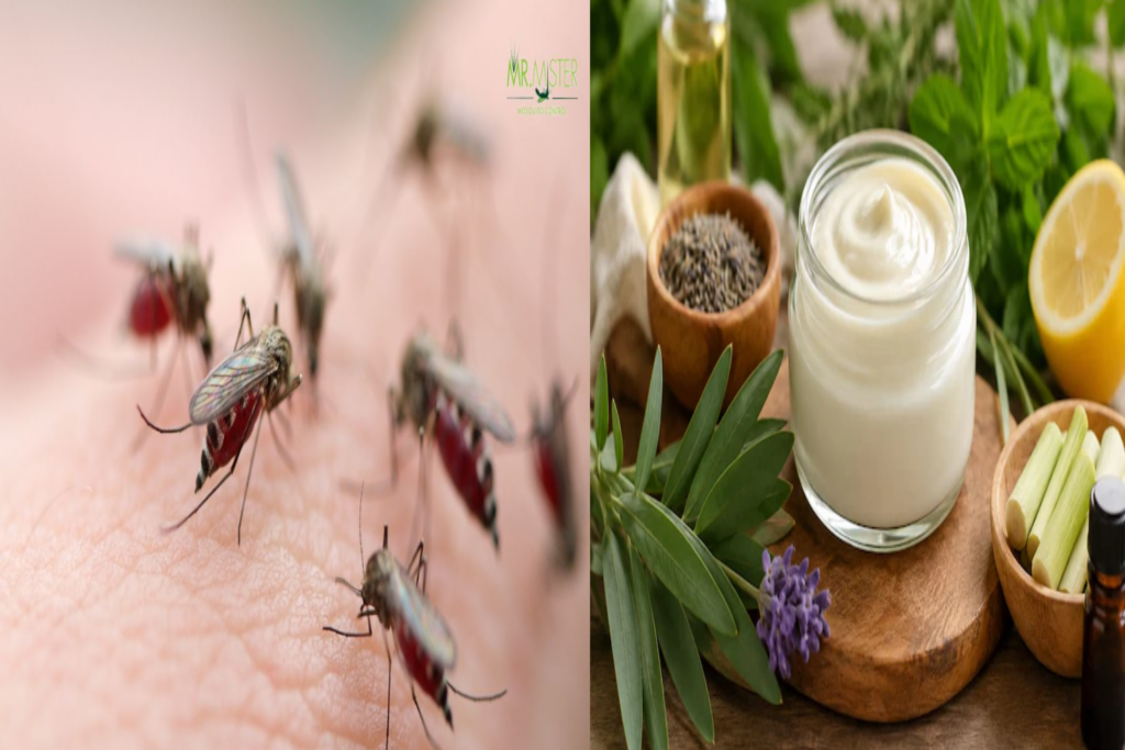 Natural mosquito repellent cream: Make safe solutions without chemicals easily at home