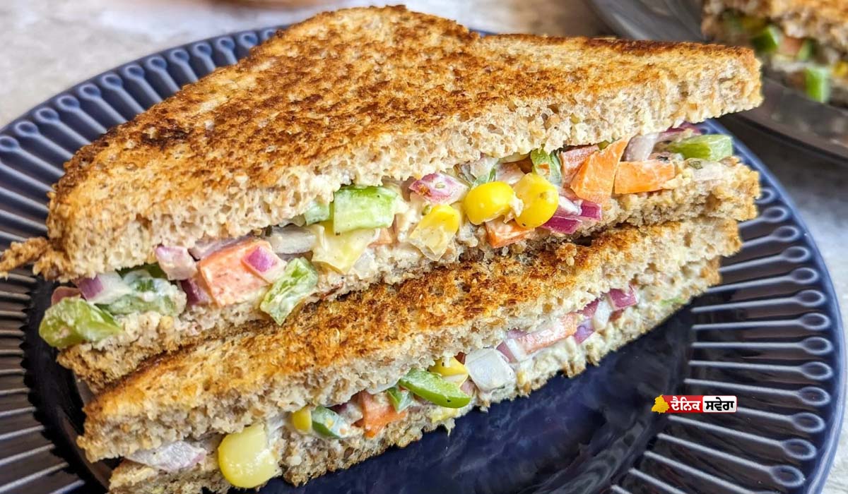 Healthy Breakfast Recipe : ਨਾਸ਼ਤੇ ‘ਚ ਖਾਓ ਦਹੀਂ ਵਾਲੇ ਸੈਂਡਵਿਚ ; ਪੇਟ ਰਹੇਗਾ ਫਿਟ, ਫਟਾਫਟ ਨੋਟ ਕਰੋ ਆਸਾਨ ਰੈਸਿਪੀ