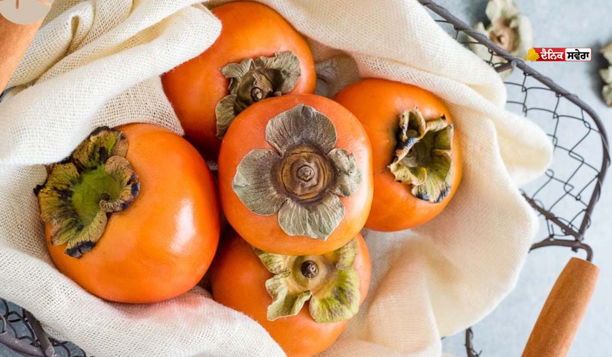 Tendu Fruit : ਰਗ-ਰਗ &lsquo;ਚ ਤਾਕਤ ਭਰ ਦਿੰਦਾ ਜੰਗਲਾਂ &lsquo;ਚ ਮਿਲਣ ਵਾਲਾ ਇਹ ਫਲ ; ਜਾਣੋ ਕਿਵੇਂ ਕਰਨਾ ਚਾਹੀਦੈ ਸੇਵਨ