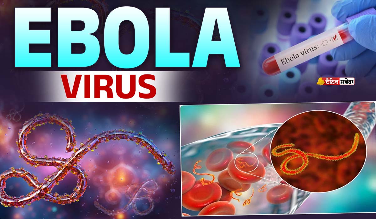 Ebola Outbreak DRC : ਡੀਆਰਸੀ &lsquo;ਚ EBOLA Virus ਦੀ ਸਥਿਤੀ ਗੰਭੀਰ : 515 ਤਕ ਵਧੇ ਮਾਮਲੇ, ਹੁਣ ਤਕ 91 ਮੌਤਾਂ