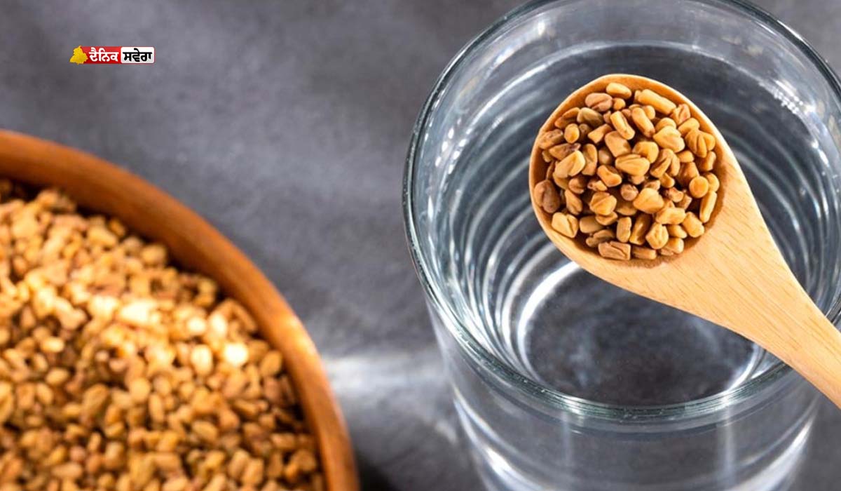 Fenugreek Seeds : ਸਵੇਰੇ ਖਾਲੀ ਪੇਟ ਚਬਾ ਕੇ ਖਾਓ ਭਿੱਜੇ ਹੋਏ ਮੇਥੀ ਦੇ ਦਾਣੇ ; ਇਨ੍ਹਾਂ ਪੰਜ ਬਿਮਾਰੀਆਂ ਤੋਂ ਮਿਲੇਗੀ ਰਾਹਤ