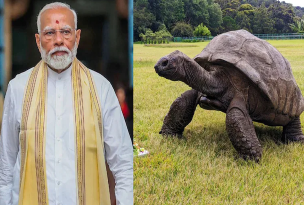 PM Modi's Seychelles visit: Special meeting with 194-year-old tortoise "Jonathan"
