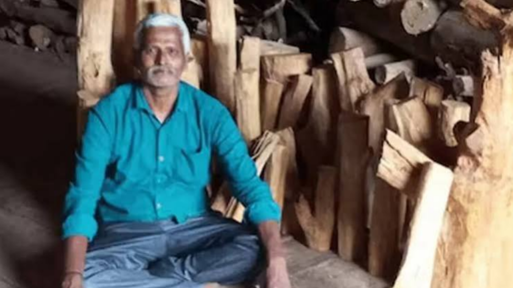 Monsoon's big gift: 40-year-old sandalwood tree fetches Bengaluru man Rs 28 lakh
