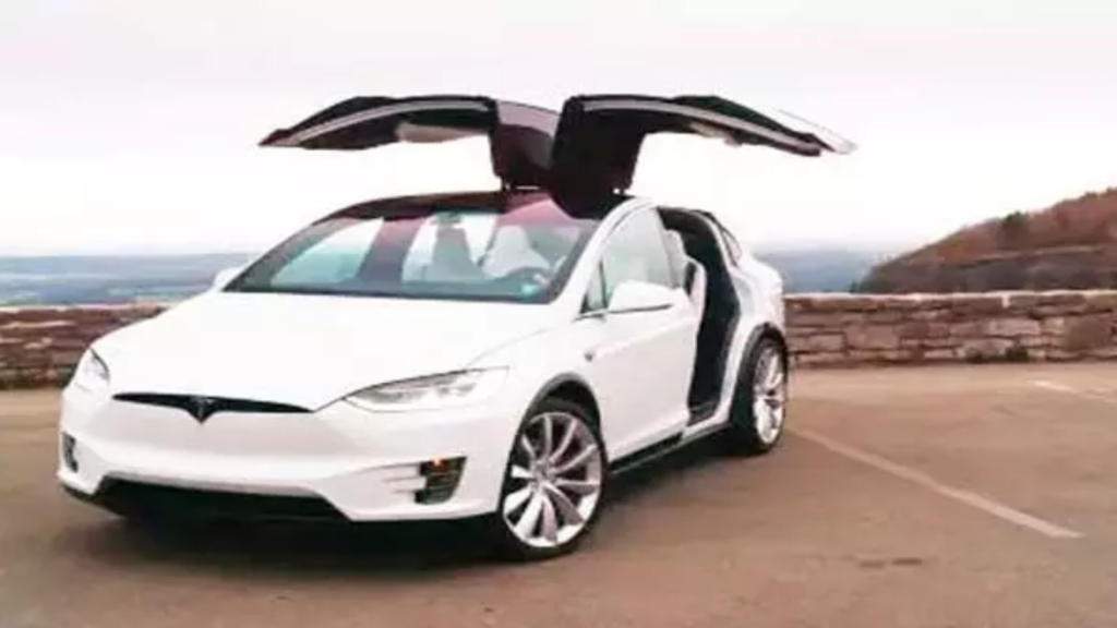 Tesla's debut in India is lackluster, sales in the first months are below expectations