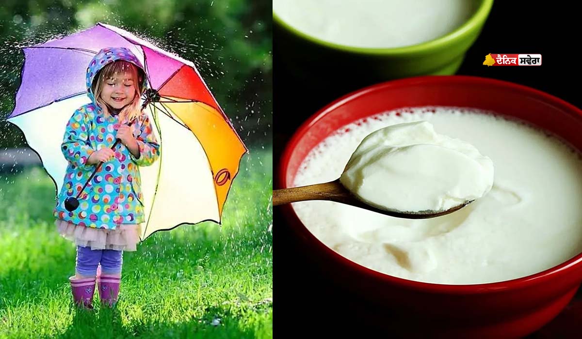 HEALTH : ਮੌਨਸੂਨ ਦੇ ਮੌਸਮ &lsquo;ਚ ਦਹੀ ਖਾਣਾ ਪੈ ਸਕਦਾ ਭਾਰੀ, ਕੀ ਹੈ ਇਸਦਾ ਕਾਰਨ ; ਜਾਣੋ ਮਾਹਿਰਾਂ ਨੇ ਕੀ ਦਿੱਤੀ ਸਲਾਹ
