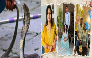 ਮੇਰਠ &lsquo;ਸੱਪ ਕਤਲ&rsquo; ਮਾਮਲੇ ਵਿੱਚ ਵੱਡਾ ਖੁਲਾਸਾ, ਪੁਲਿਸ ਨੇ ਦੱਸੀ ਦੋਹਰੀ ਸਾਜ਼ਿਸ਼ ਦੀ ਕਹਾਣੀ