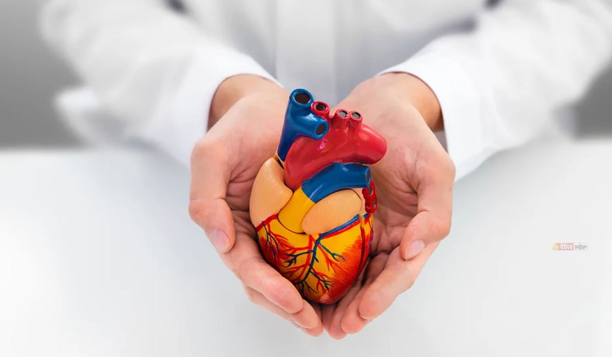 Healthy Heart : ਬੈਡ ਕੋਲੈਸਟ੍ਰੋਲ ਤੋਂ ਇਲਾਵਾ ਇਹ 6 ਕਾਰਕ ਵੀ ਤੁਹਾਡੇ ਦਿਲ ਨੂੰ ਪਹੁੰਚਾ ਸਕਦੇ ਨੁਕਸਾਨ ; ਕਰੋ ਬਚਾਅ