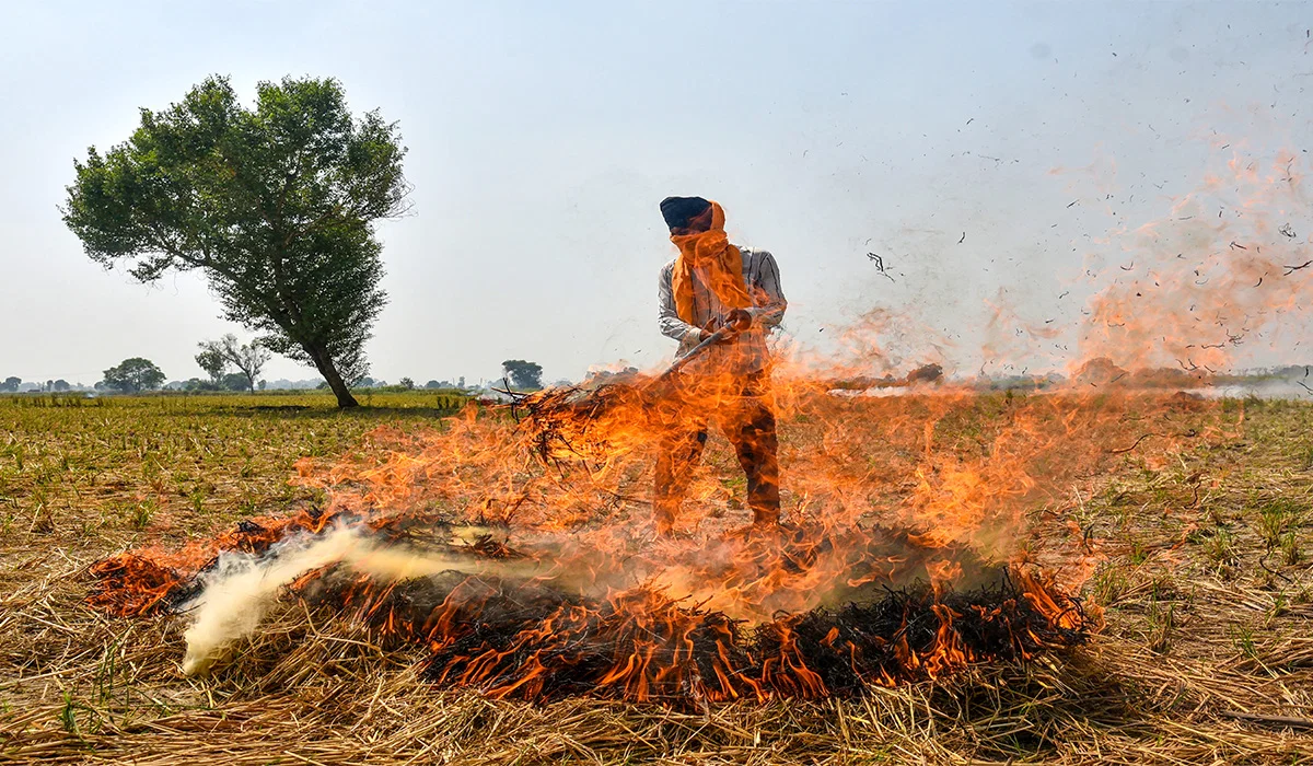 Punjab Stubble Burning: ਪੰਜਾਬ ਵਿੱਚ ਪਰਾਲੀ ਸਾੜਨ ਦੀਆਂ 700 ਤੋਂ ਵੱਧ ਘਟਨਾਵਾਂ ਆਈਆਂ ਸਾਹਮਣੇ, 24 ਐੱਫਆਈਆਰ ਦਰਜ