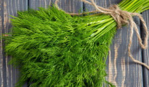 TIPS : ਜ਼ਰੂਰੀ ਪੌਸ਼ਟਿਕ ਤੱਤਾਂ ਨਾਲ ਭਰਪੂਰ ਹੁੰਦਾ ਸੋਇਆ (Dill) ; ਸਰੀਰ ਨੂੰ ਬਿਮਾਰੀਆਂ ਨਾਲ ਲੜਨ &lsquo;ਚ ਕਰਦਾ ਮਦਦ