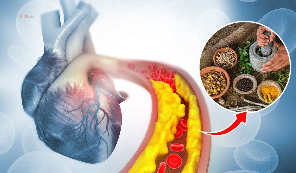HEALTH : ਕੋਲੈਸਟ੍ਰੋਲ ਘਟਾਉਣ ਲਈ ਅਪਣਾਓ ਇਹ ਆਸਾਨ ਘਰੇਲੂ ਨੁਸਖੇ ; ਇਨ੍ਹਾਂ ਆਯੁਰਵੈਦਿਕ ਚੀਜ਼ਾਂ ਨਾਲ ਮਿਲੇਗਾ ਫਾਇਦੇ