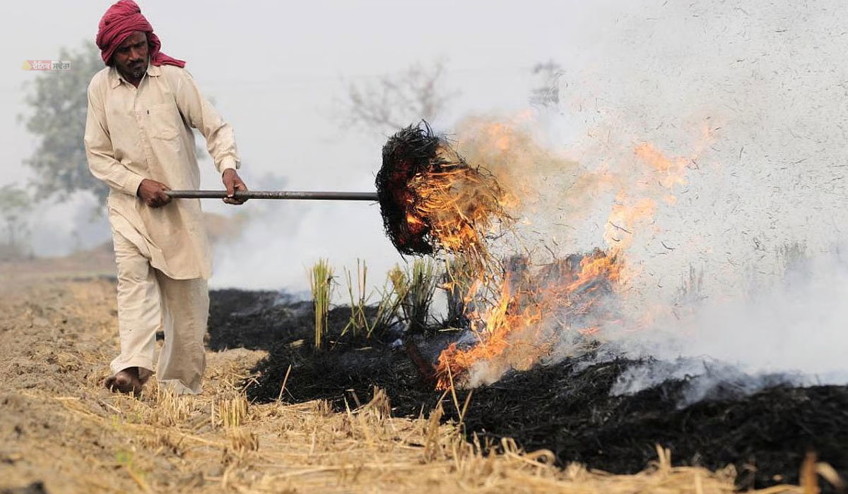 Punjab Stubble Burning : ਪਰਾਲੀ ਸਾੜਨ ਵਿਰੁੱਧ ਸਖ਼ਤੀ : 84 ਮਾਮਲੇ ਆਏ ਸਾਹਮਣੇ, 1.40 ਲੱਖ ਰੁਪਏ ਦਾ ਲਗਾਇਆ ਜੁਰਮਾਨਾ