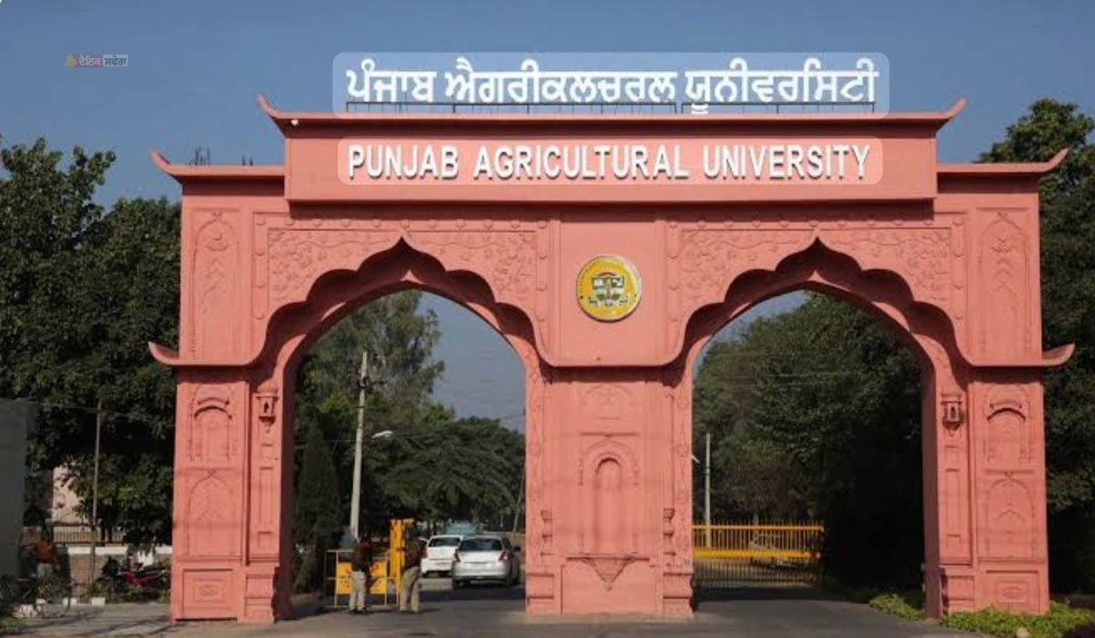 LUDHIANA : PAU ਦੇ ਕਰਮਚਾਰੀਆਂ ਨੇ ਮੰਗਾਂ ਪੂਰੀਆਂ ਨਾ ਹੋਣ ਦੇ ਰੋਸ &lsquo;ਚ ਥਾਪਰ ਹਾਲ ਦੇ ਬਾਹਰ ਕੀਤਾ ਪ੍ਰਦਰਸ਼ਨ